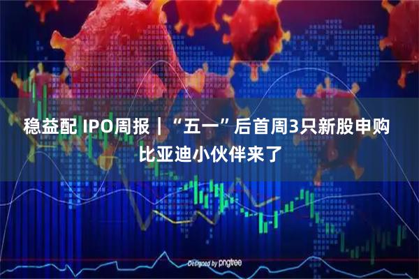 稳益配 IPO周报｜“五一”后首周3只新股申购 比亚迪小伙伴来了