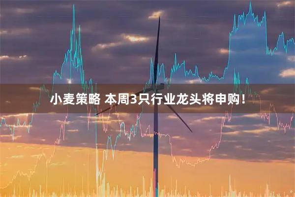 小麦策略 本周3只行业龙头将申购！