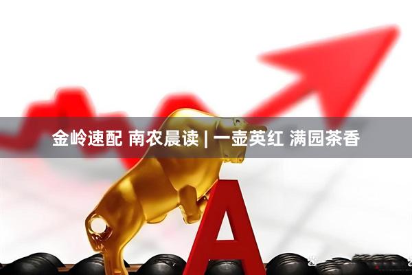 金岭速配 南农晨读 | 一壶英红 满园茶香